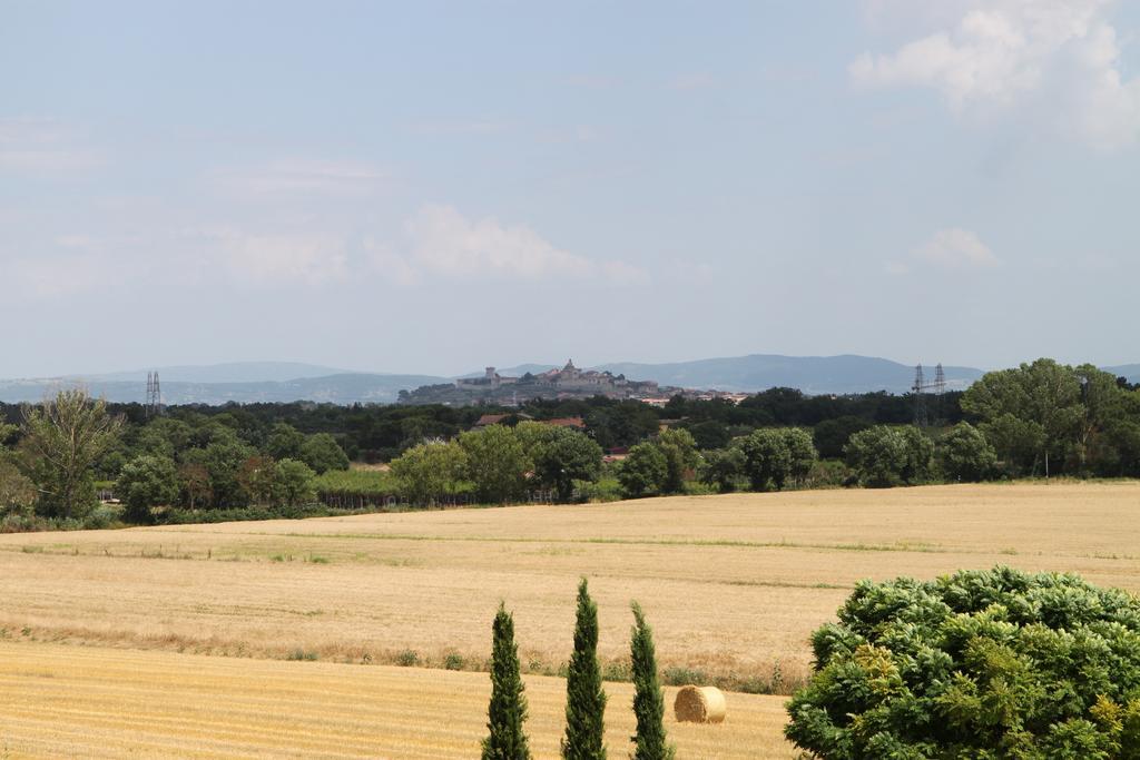 Agriturismo Verbena カスティリオーネ・デル・ラーゴ エクステリア 写真