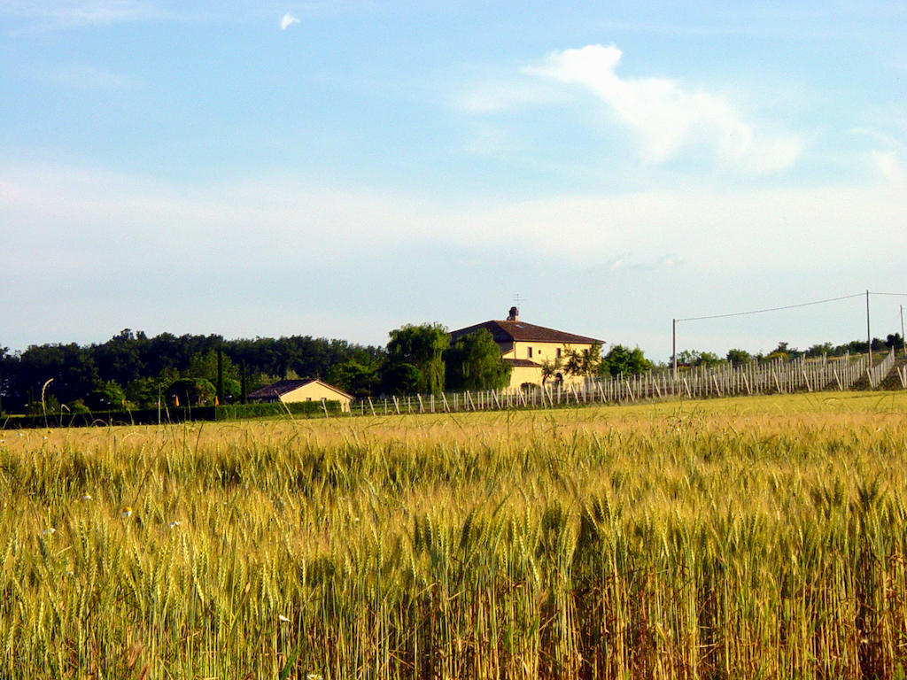 Agriturismo Verbena カスティリオーネ・デル・ラーゴ エクステリア 写真